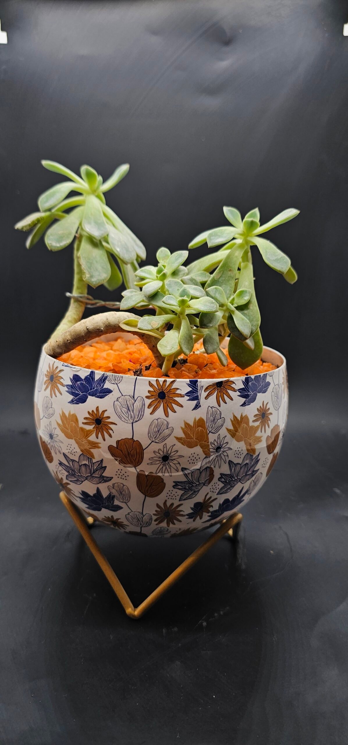 Gifting Garden Collection 7