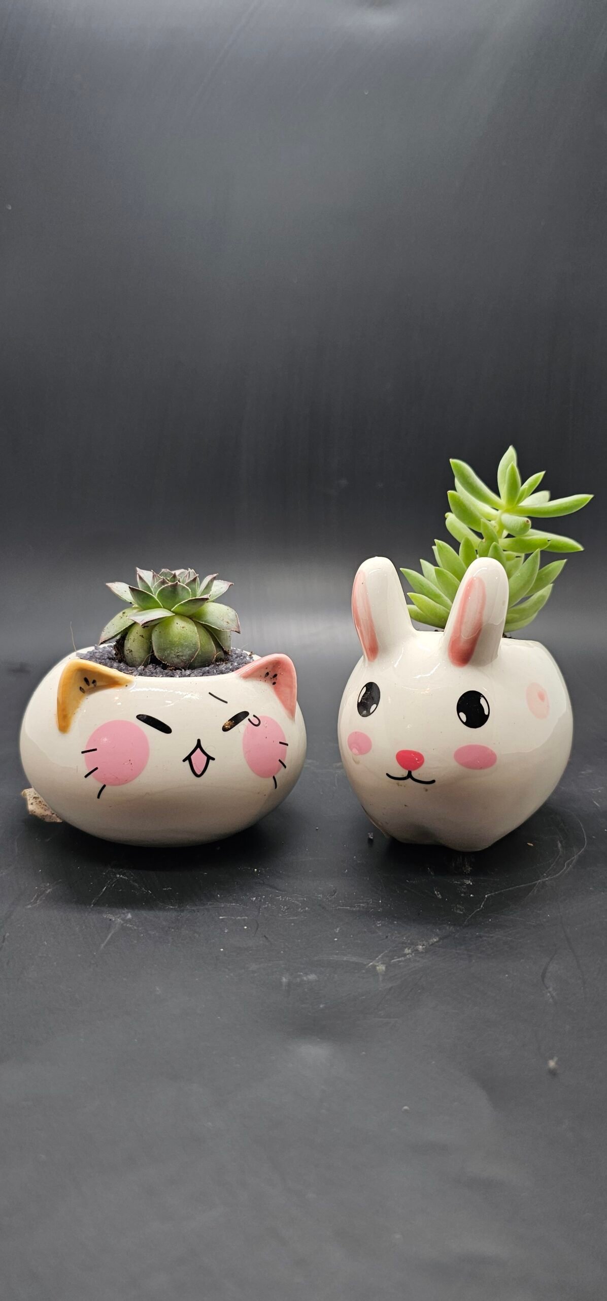 Gifting Garden Collection 8
