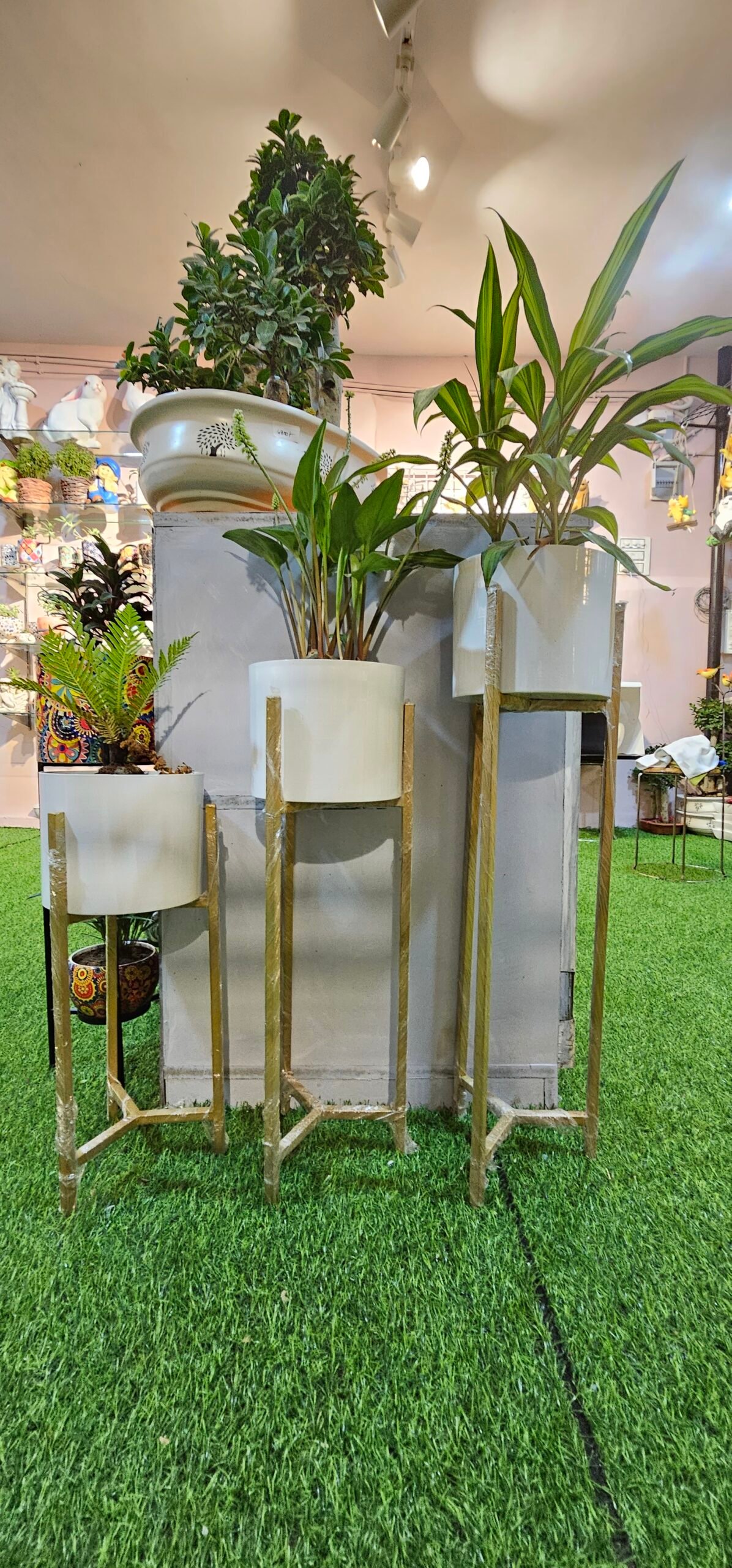 Gifting Garden Collection 9