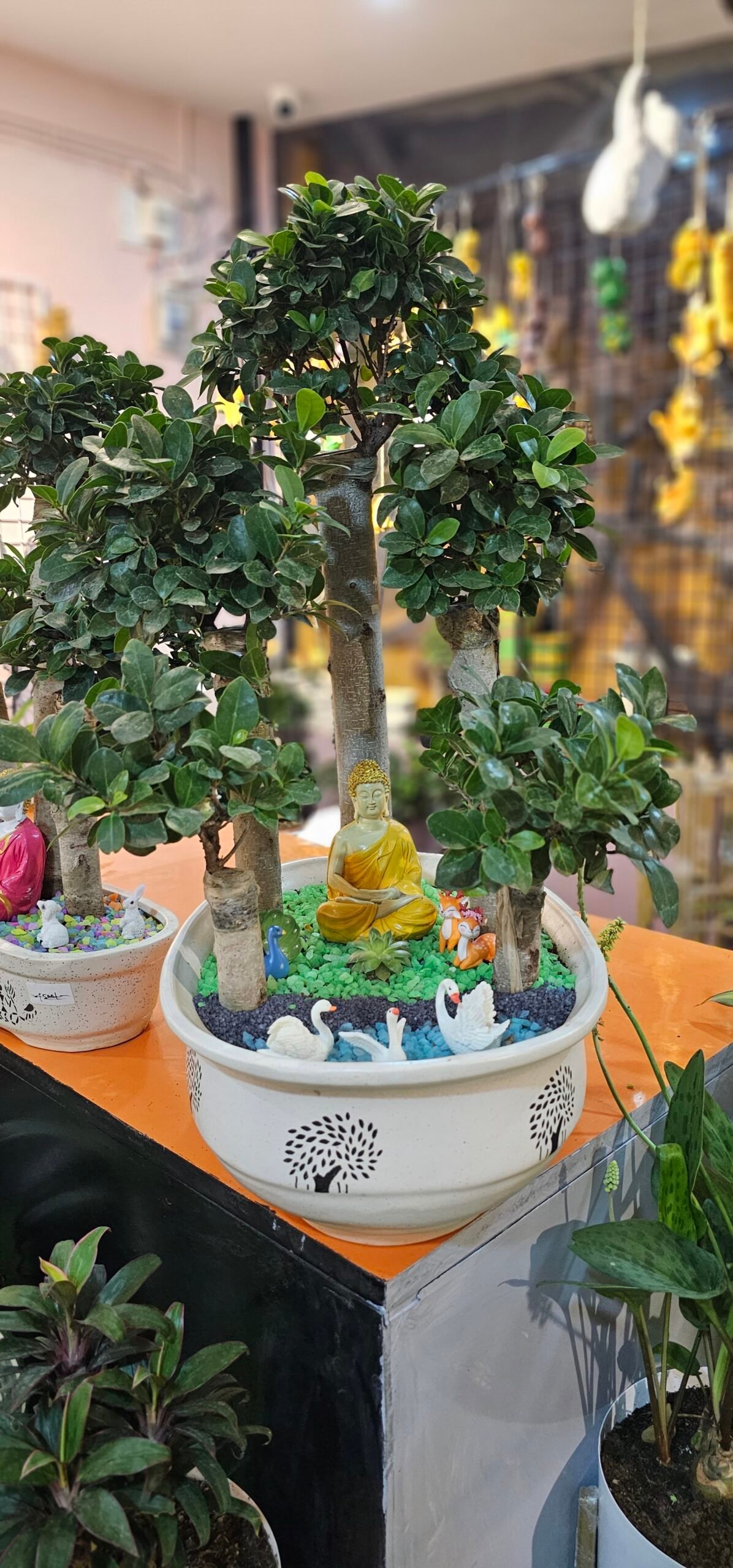 Gifting Garden Collection 12