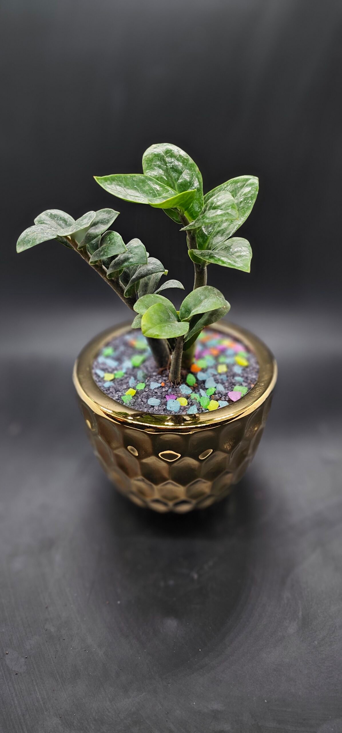 Gifting Garden Collection 14