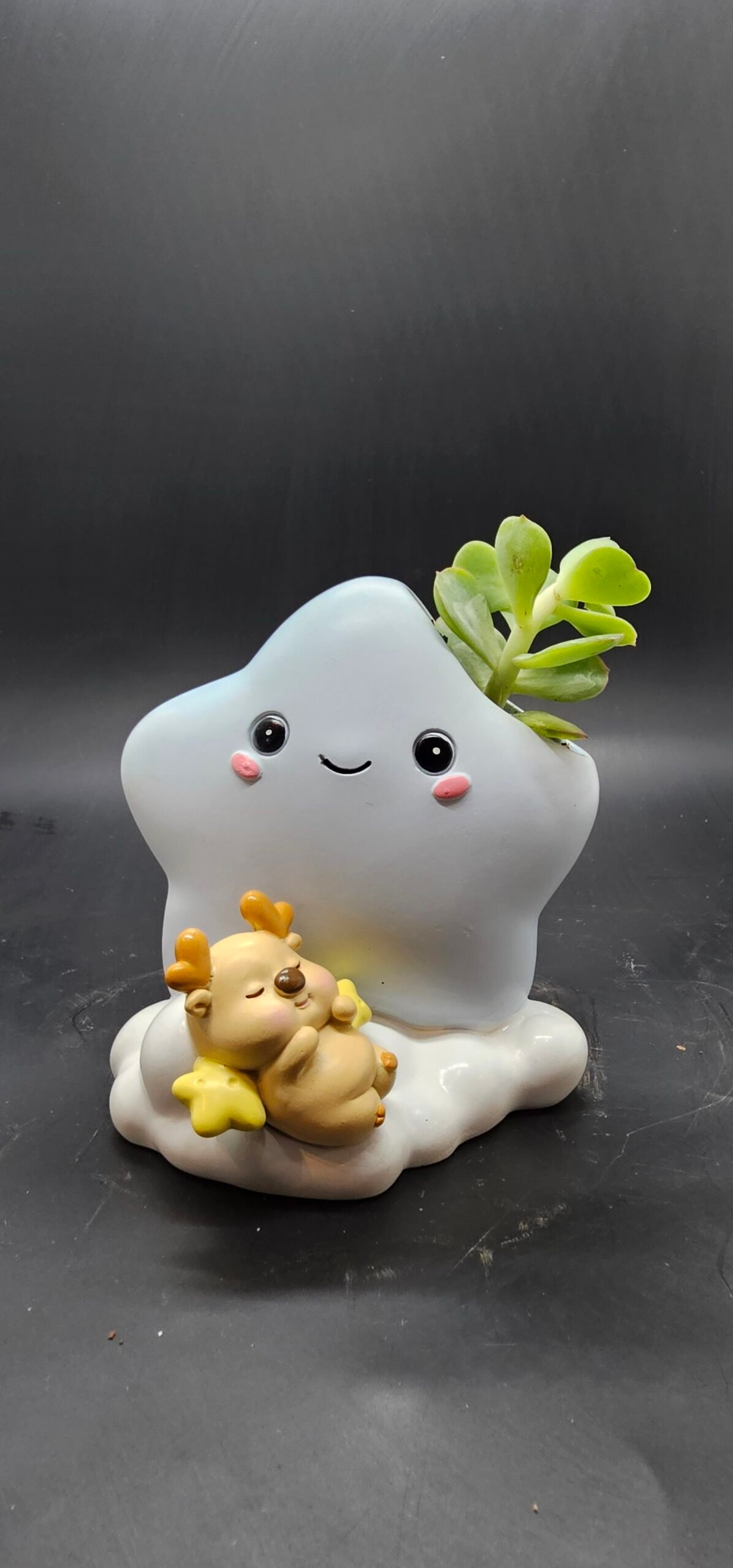 Gifting Garden Collection 15