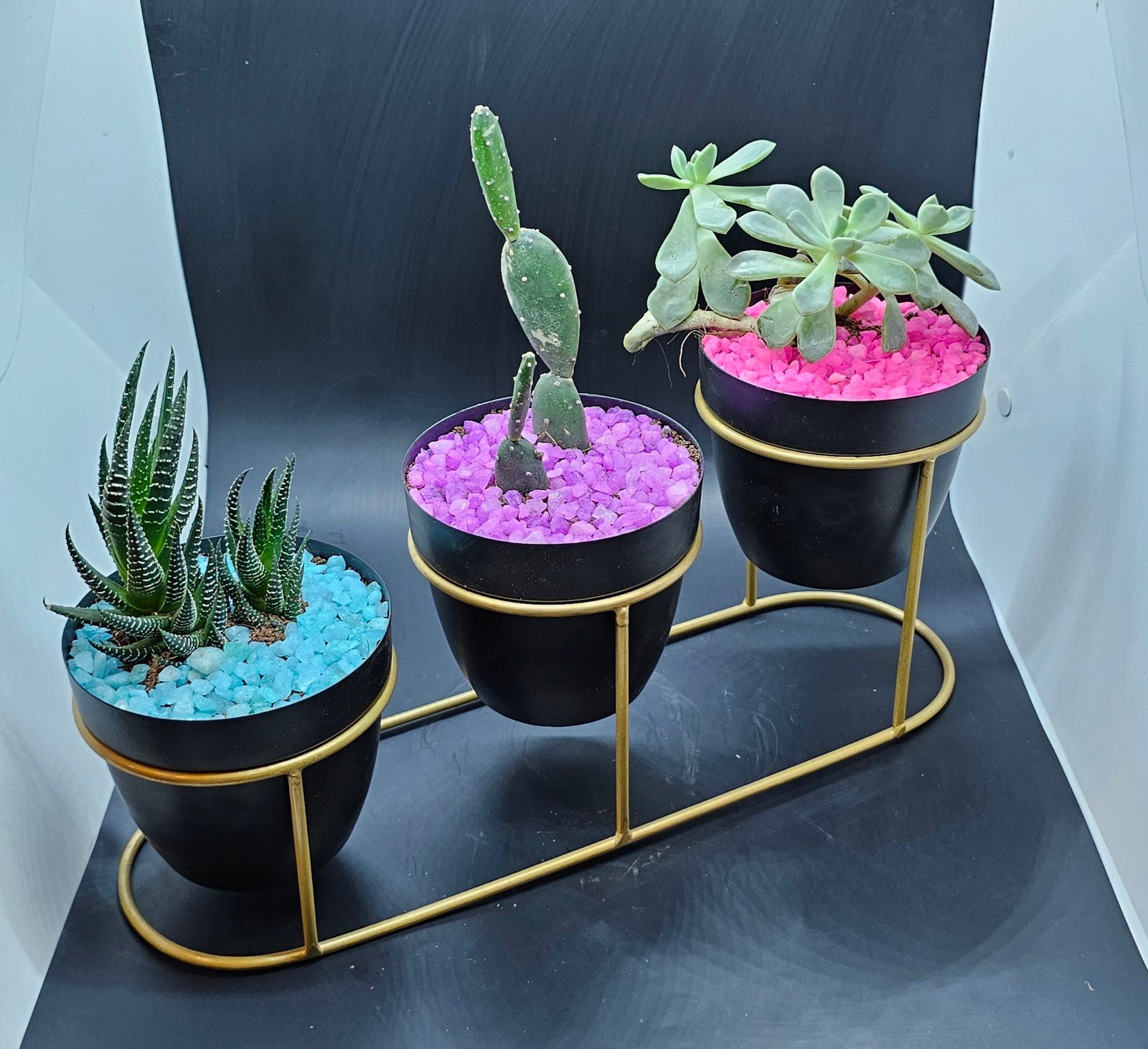 Gifting Garden Collection 16